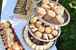 LAUNCH TO VANDERBILT